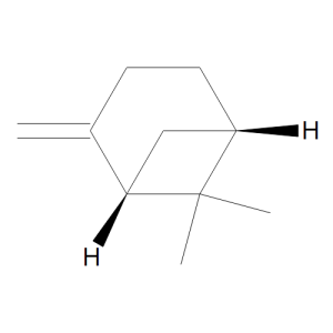 (S)-b-Pinene