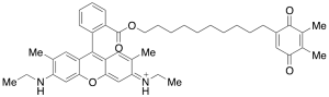 9-[2-[[[10-(4,5-Dimethyl-3,6-dioxo-1,4-cyclohexadien-1-yl)decyl]oxy]carbonyl]phenyl]-3,6-bis(ethylamino)-2,7-dimethyl-Xanthylium