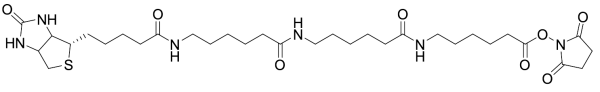 N-Biotinylcaproylaminocaproylaminocaproyl N-Hydroxysuccinimide