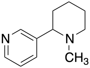 N-Methyl Anabasine
