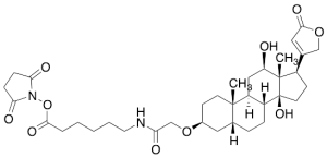 (3b,5b,12b)-3-[2-[[6-[(2,5-Dioxo-1-pyrrolidinyl)oxy]-6-oxohexyl]amino]-2-oxoethoxy]-12,14-dihydroxycard-20(22)-enolide