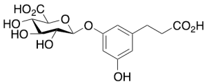3,5-Dihydroxyphenylpropanoic Acid 3-O-b-D-Glucuronide(>85%)
