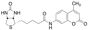N-d-Biotinyl-7-amino-4-methylcoumarin