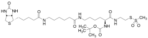 N2-t-Boc-N6-(biotinamido-6-N-caproylamido)lysinylamidoethane Methanethiosulfonate