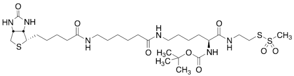 N2-t-Boc-N6-(biotinamido-6-N-caproylamido)lysinylamidoethane Methanethiosulfonate