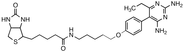 Pyrimethamine Biotin