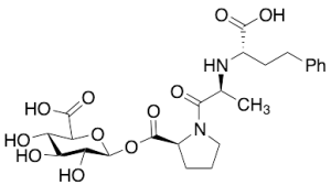Enalaprilat Acyl Glucuronide (~70%)