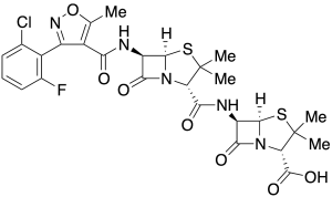 6-APA Flucloxacillin