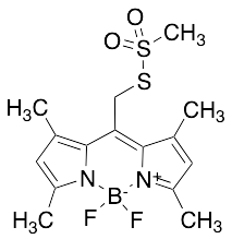 Bodipy Methanethiosulfonate