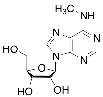 N6-Methyladenosine