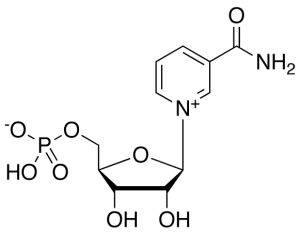 Beta-Nicotinamide Mononucleotide