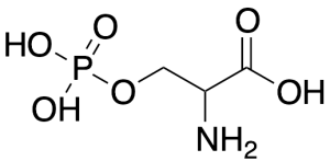 O-Phospho-DL-serine