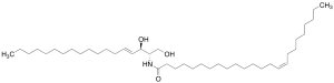 C24:1 Ceramide