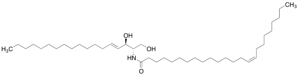 C24:1 Ceramide