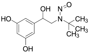 N-Nitroso Terbutaline