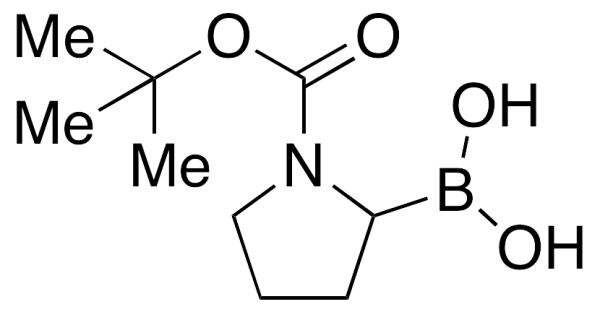 N-Boc-pyrrolidin-2-ylboronic Acid