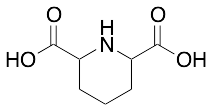 Piperidine-2,6-dicarboxylic Acid
