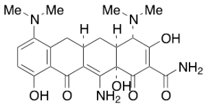 12-Amino Minocycline (~90%)