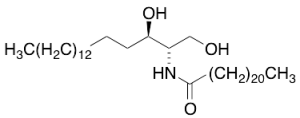 C22 Dihydroceramide