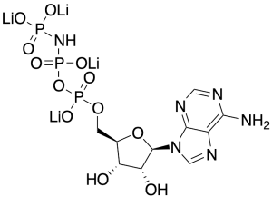 AMP PNP (~90%)