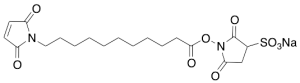 11-Maleimidoundecanoic Acid Sulfo-N-Succinimidyl Ester (~90%)