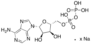 Adenosine 5'-Diphosphate Sodium Salt