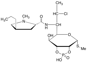 Clindamycin Cyclomonophosphate