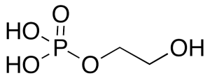 2-Hydroxyethyl Phosphate