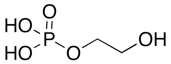 2-Hydroxyethyl Phosphate