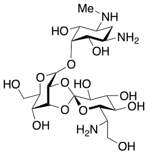 Hygromycin B Deuterated (d4 major)