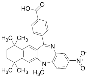 HX 531