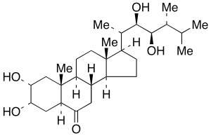 24-epi-Castasterone
