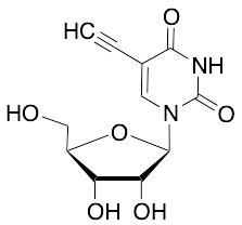 5-Ethynyluridine