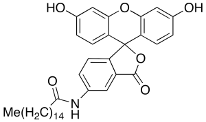 5-(Hexadecanoylamino)fluorescein