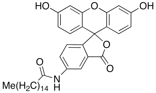 5-(Hexadecanoylamino)fluorescein