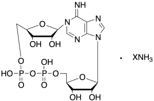 cADP-Ribose (cADPR) Ammonium Salt (~90%)