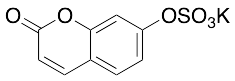 7-Hydroxy Coumarin Sulfate Potassium Salt