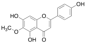 Hispidulin