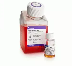 StemPro®-34 SFM (1X)