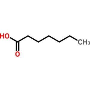 Heptanoic Acid