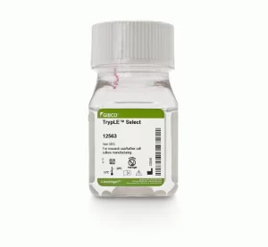 Gibco™ TrypLE™ Select Enzyme (1X), no phenol red