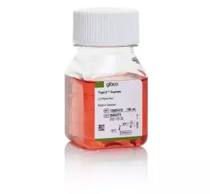 TrypLE™ Express Enzyme (1X), phenol red