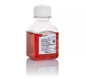 Gibco™ Recovery™ Cell Culture Freezing Medium X