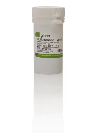 Gibco™Collagenase, Type I, powder