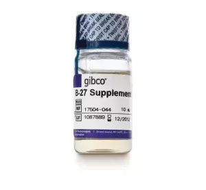 Gibco™ B-27™ Supplement (50X), serum free- SKU: 17504044