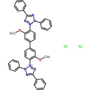Blue Tetrazolium