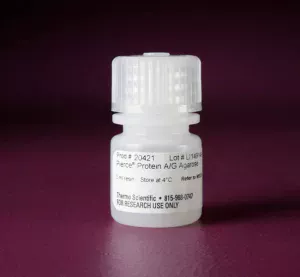 Thermo Scientific™ Pierce™ Protein A/G Agarose X