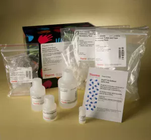 Thermo Scientific™ Pierce™ Biotinylated Protein Interaction Pull-Down Kit