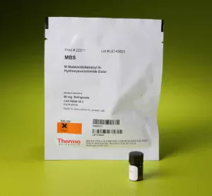 Thermo Scientific™ GMBS (N-γ-maleimidobutyryl-oxysuccinimide ester)