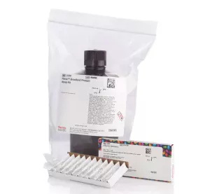 Thermo Scientific™ Pierce™ Bradford Protein Assay Kit